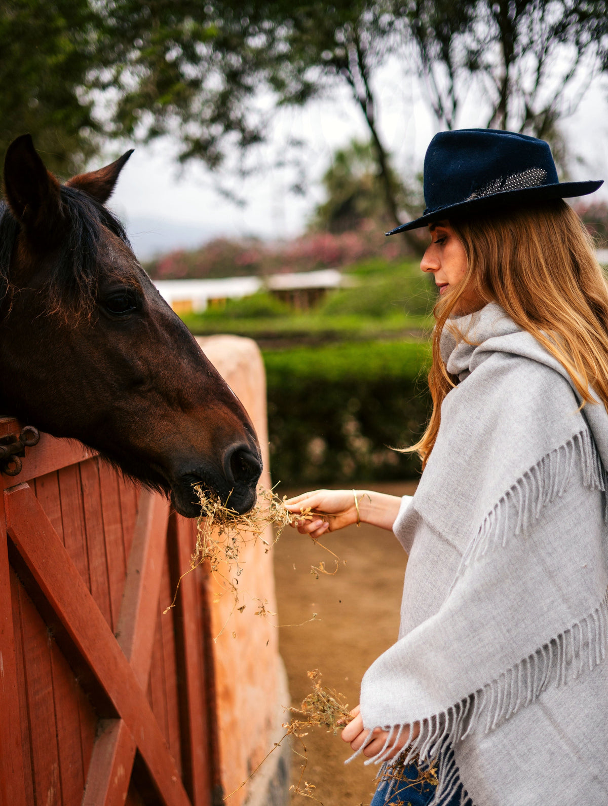 Storm grey baby alpaca throw at the stable gate, model with a horse